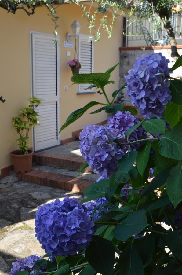 Maison Brinati Bed And Breakfast Monsummano Terme Kültér fotó